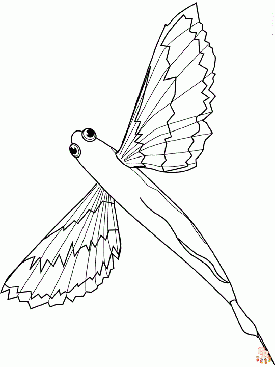 Flying Fish Coloring Pages
