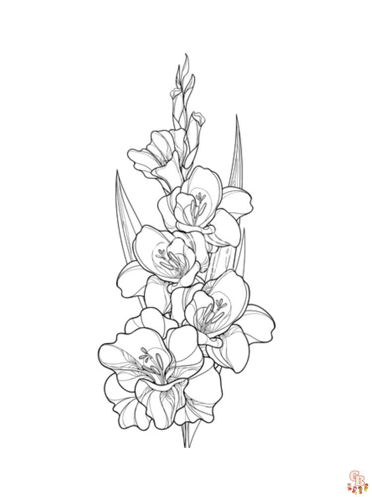 Gladiolus Coloring Pages