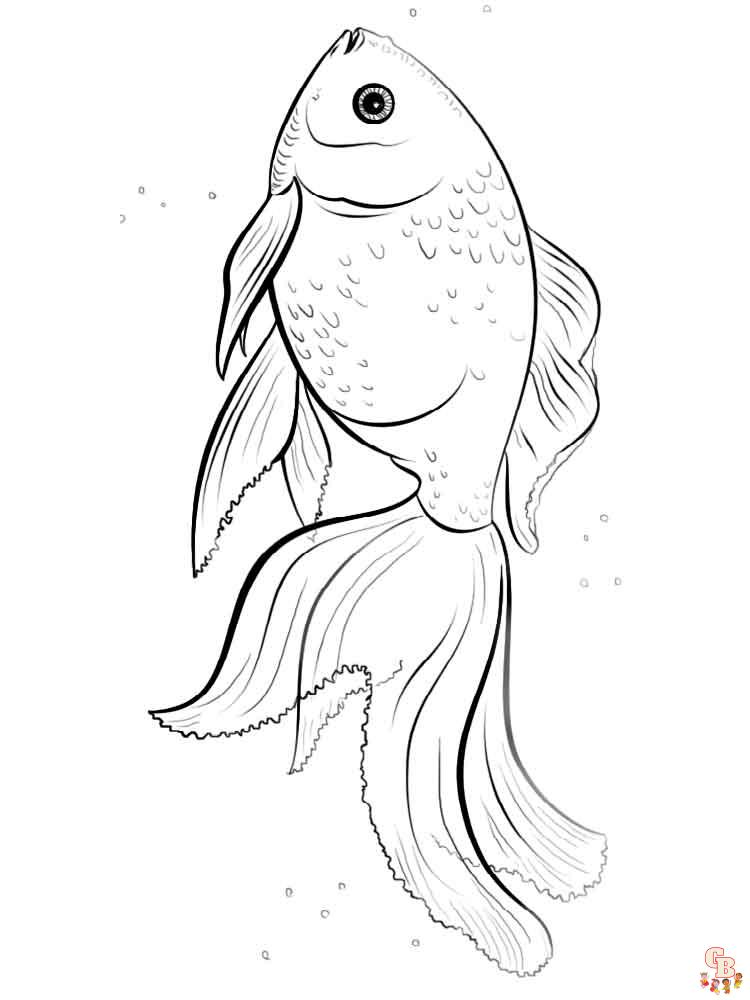Goldfish Coloring Pages 15