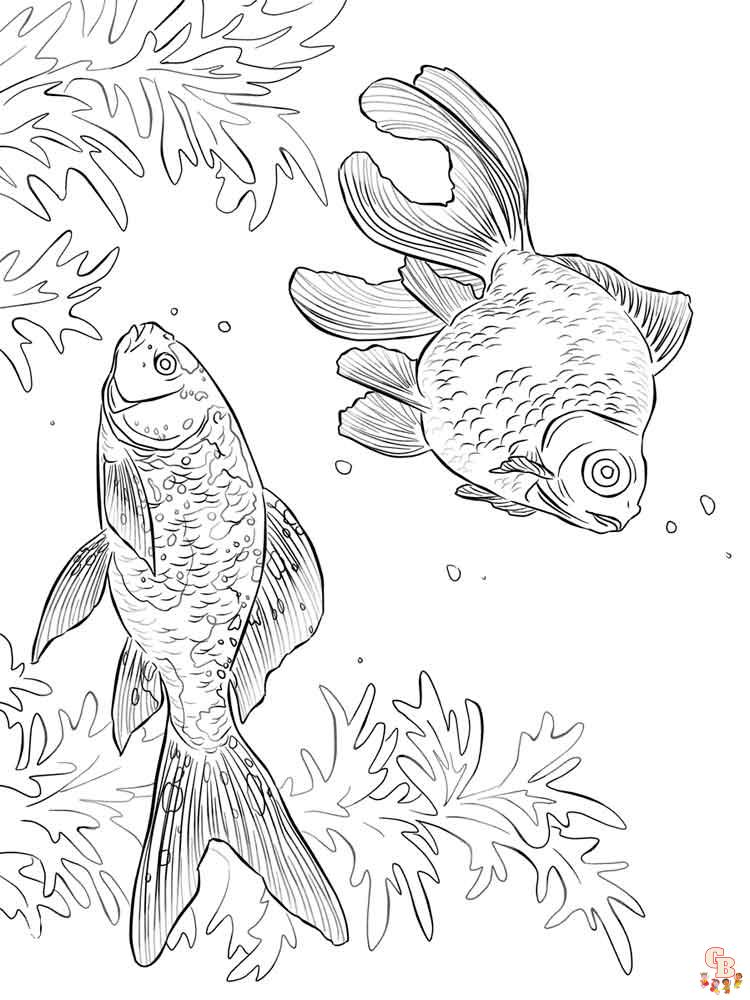 Goldfish Coloring Pages 5