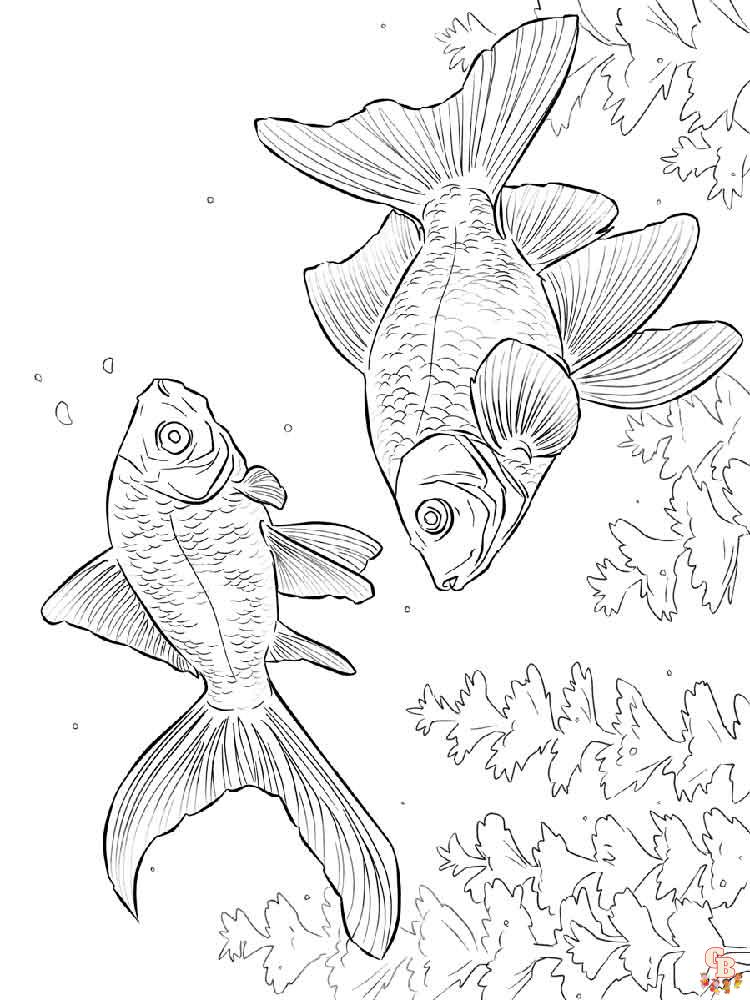Goldfish Coloring Pages 6
