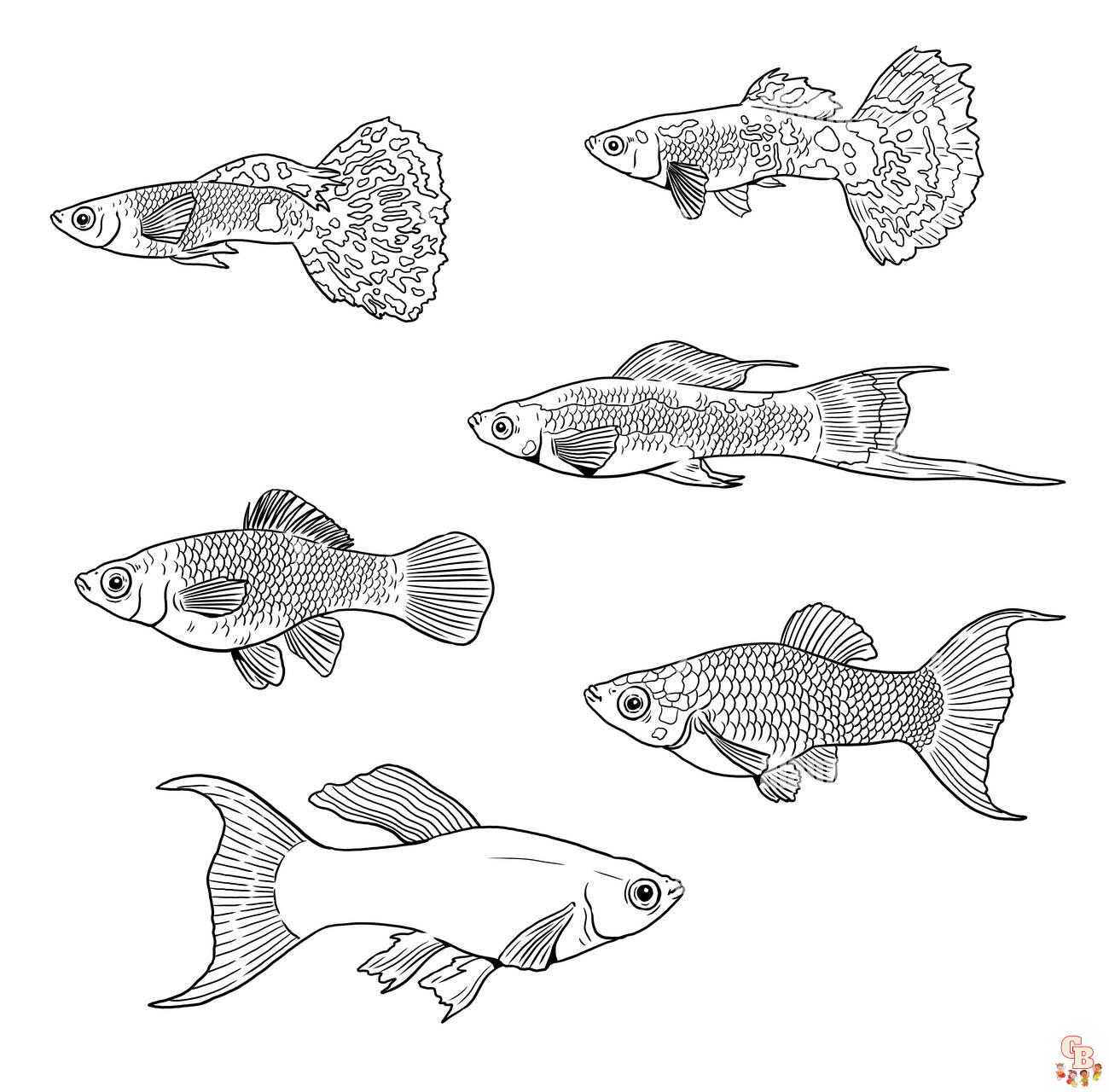 Guppy Coloring Pages 2