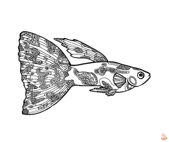Guppy Coloring Pages 3