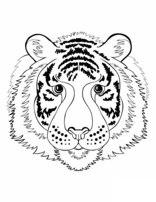 Enjoy Coloring Happy Face Tiger Coloring Pages with GBcoloring