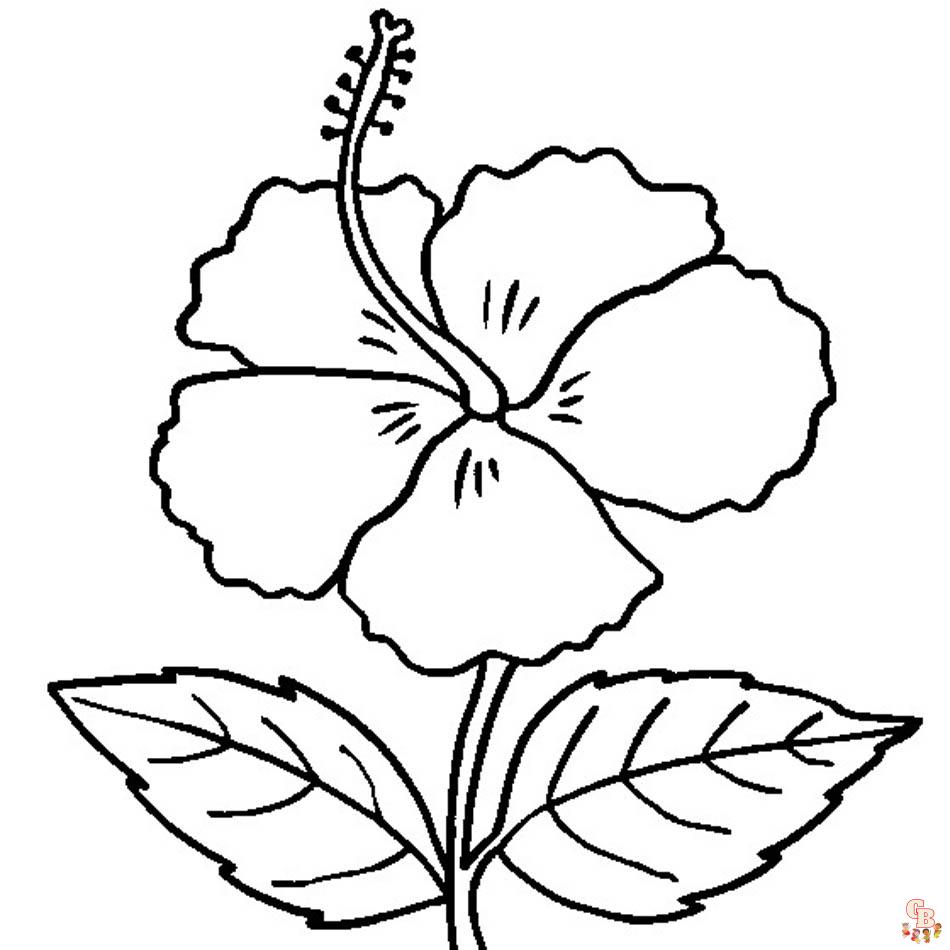 Hibiscus Coloring Pages 1