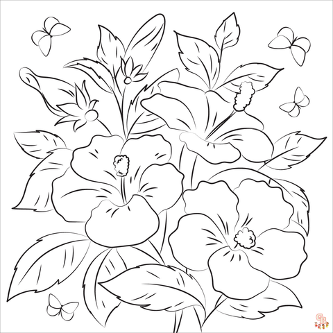 Coloriage Hibiscus 1