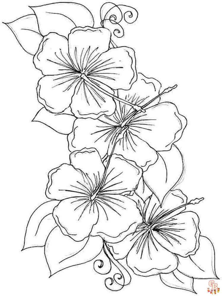 Hibiscus Coloring Pages 3