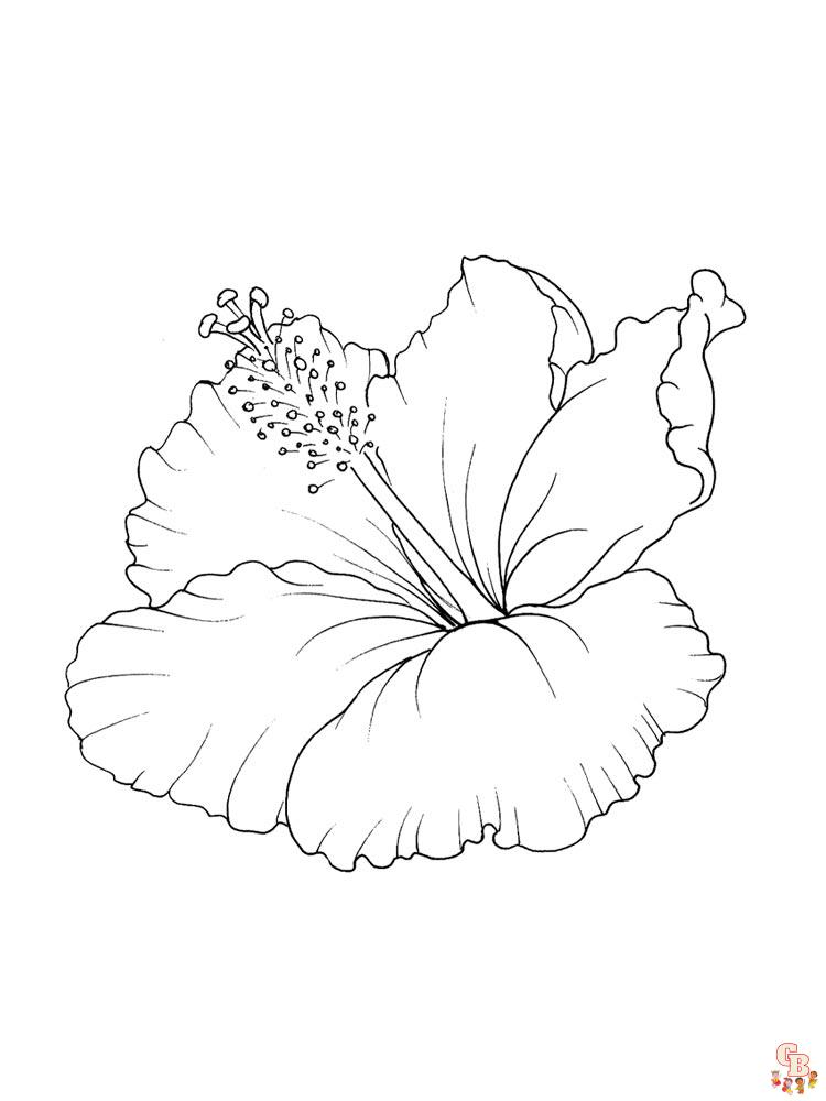 Coloriage Hibiscus 5