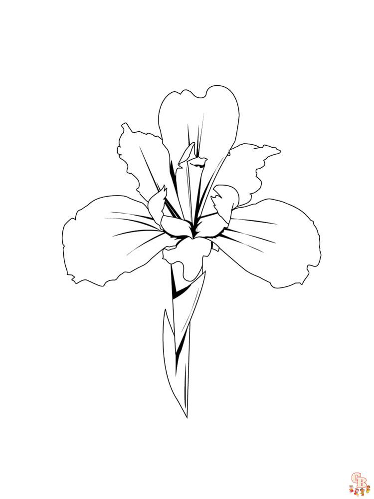 Iris Coloring Pages 21