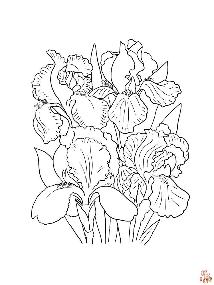 Iris Coloring Pages 23