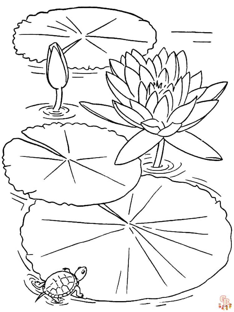 Lotus Coloring Pages