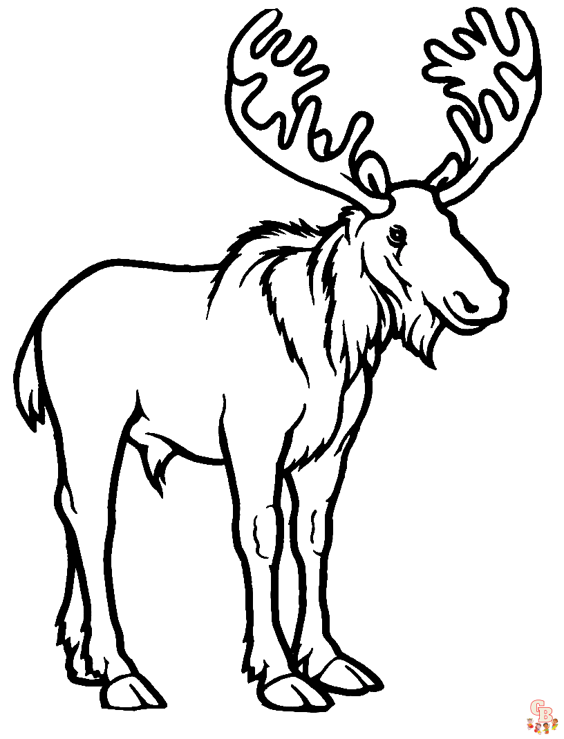 Moose Coloring Pages 2