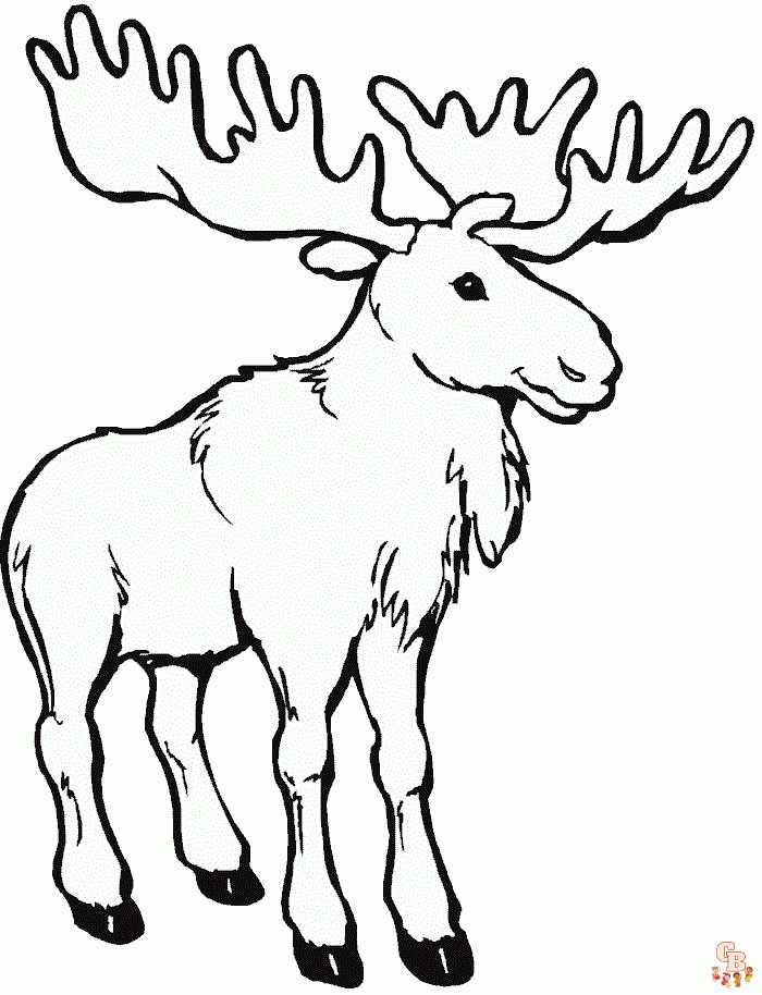 Moose Coloring Pages 3