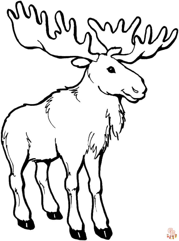 Moose Coloring Pages 5