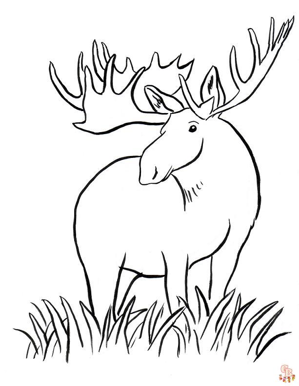 Moose Coloring Pages 8