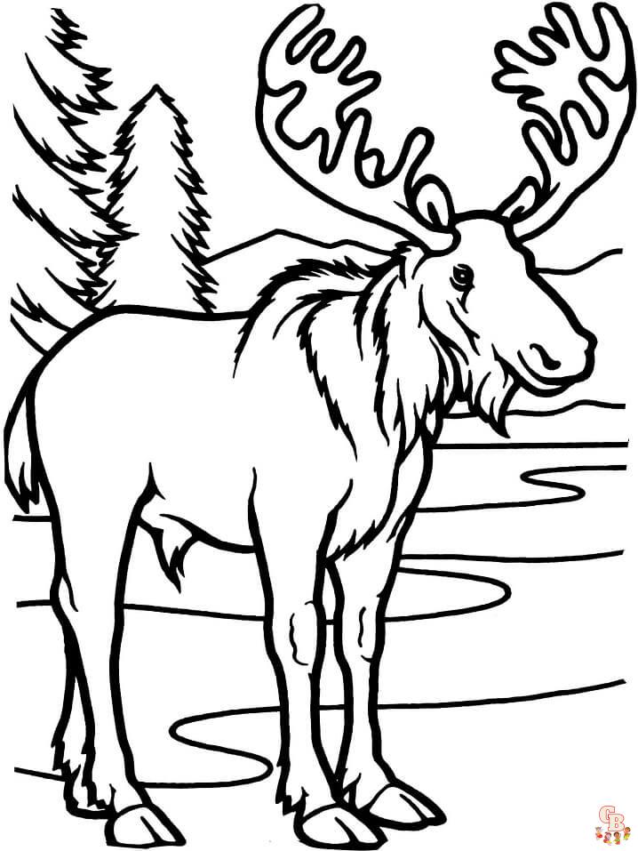 Moose Coloring Pages 9