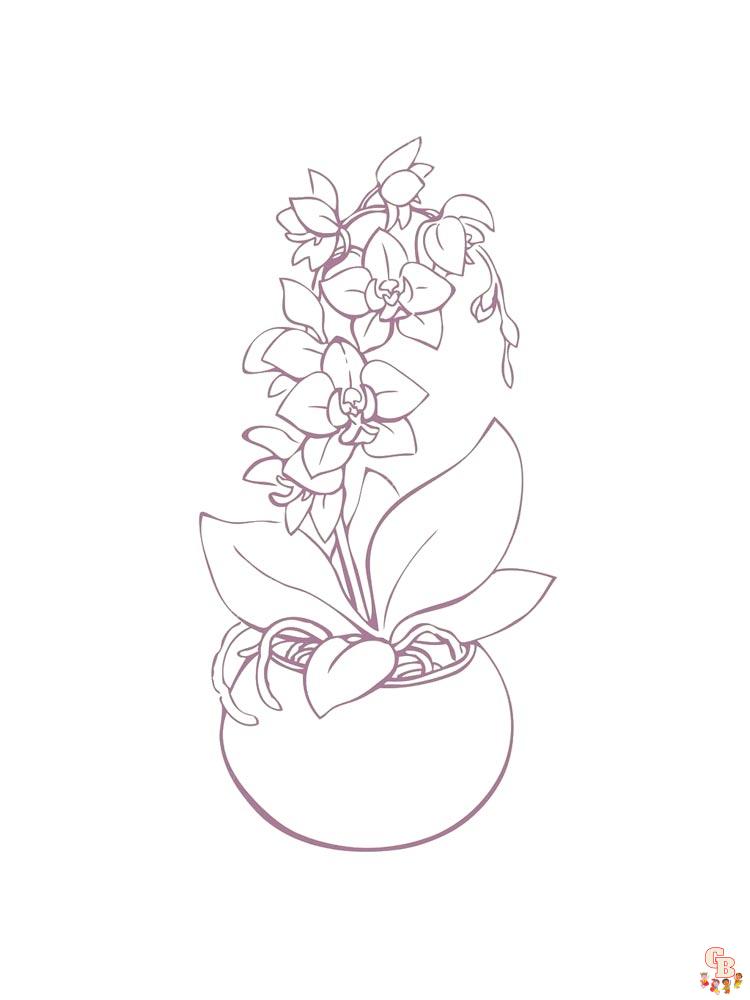 Orchids Coloring Pages