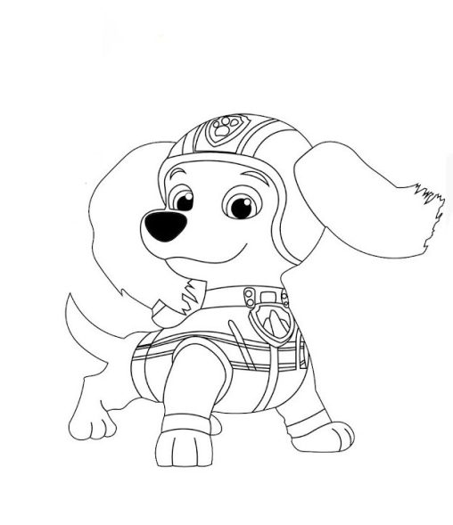 Explorar grátis Paw Patrol Páginas para Colorir da Liberdade - paw ...