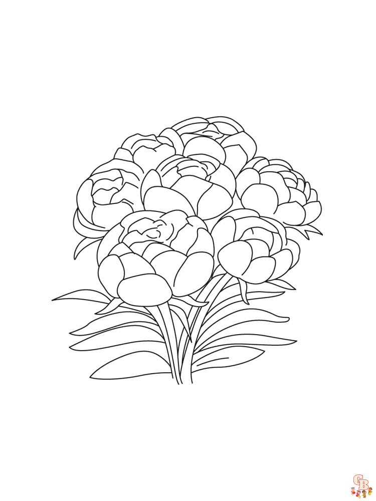Peonies Coloring Pages 1