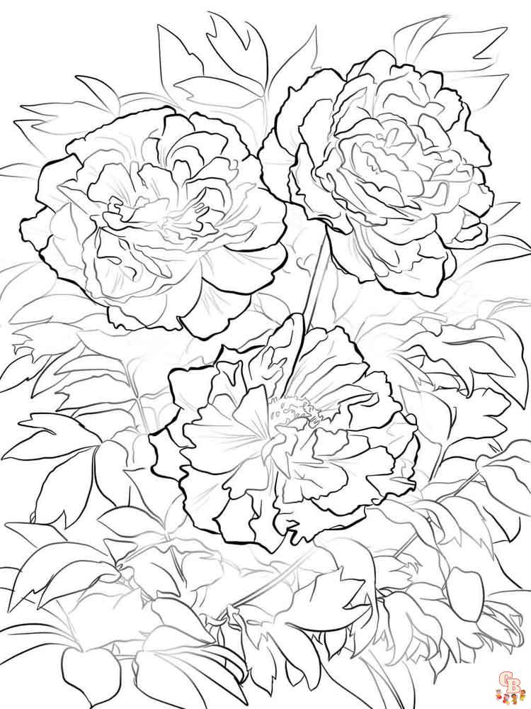 Peonies Coloring Pages 10