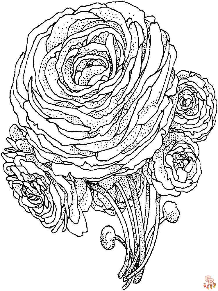 Peonies Coloring Pages 13