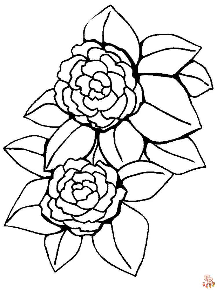 Peonies Coloring Pages 14