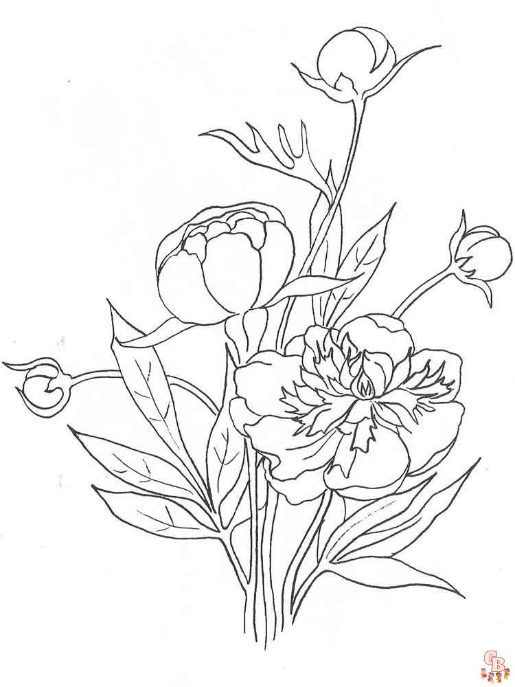 Peonies Coloring Pages 15