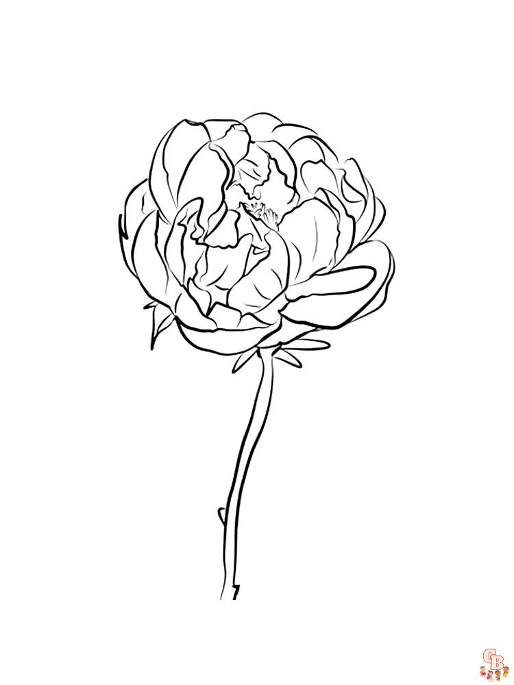 Peonies Coloring Pages 3
