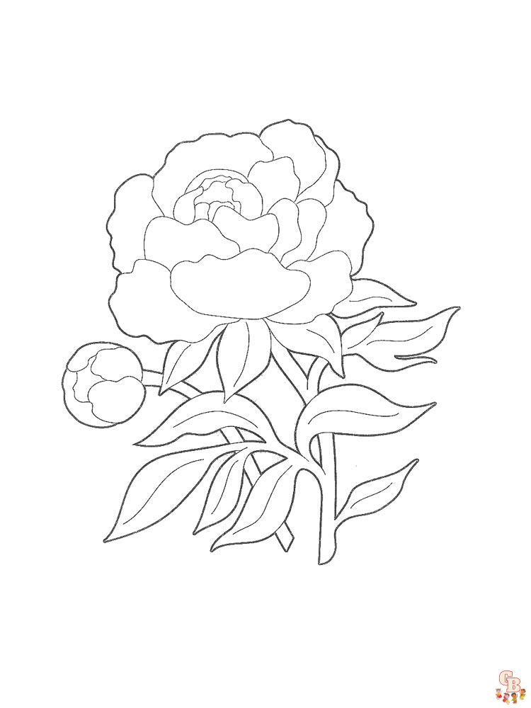 Peonies Coloring Pages 4