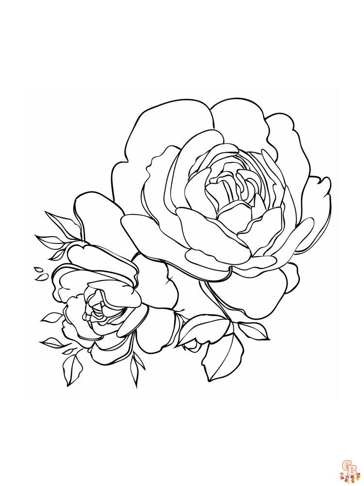 Peonies Coloring Pages 5