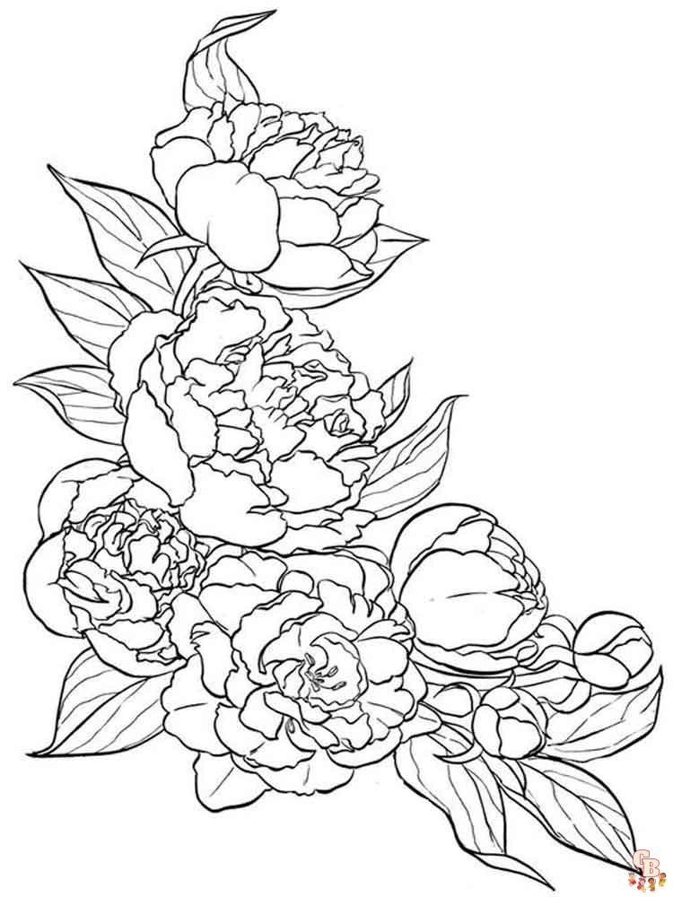 Peonies Coloring Pages 6