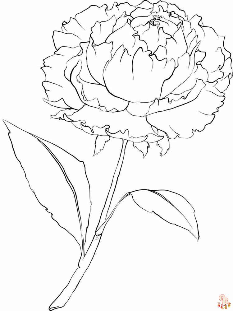 Peonies Coloring Pages 7