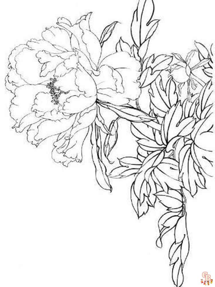 Peonies Coloring Pages 8