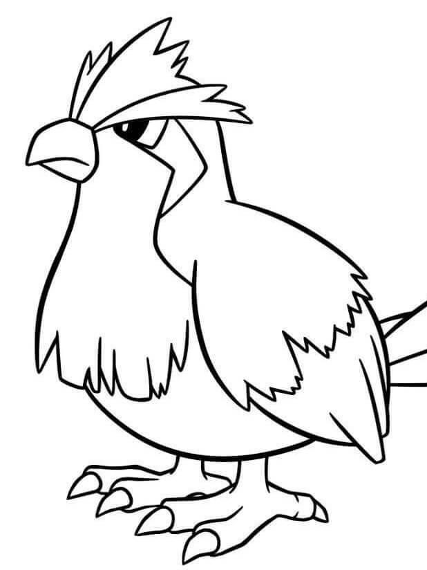 Pidgey Coloring Pages 10