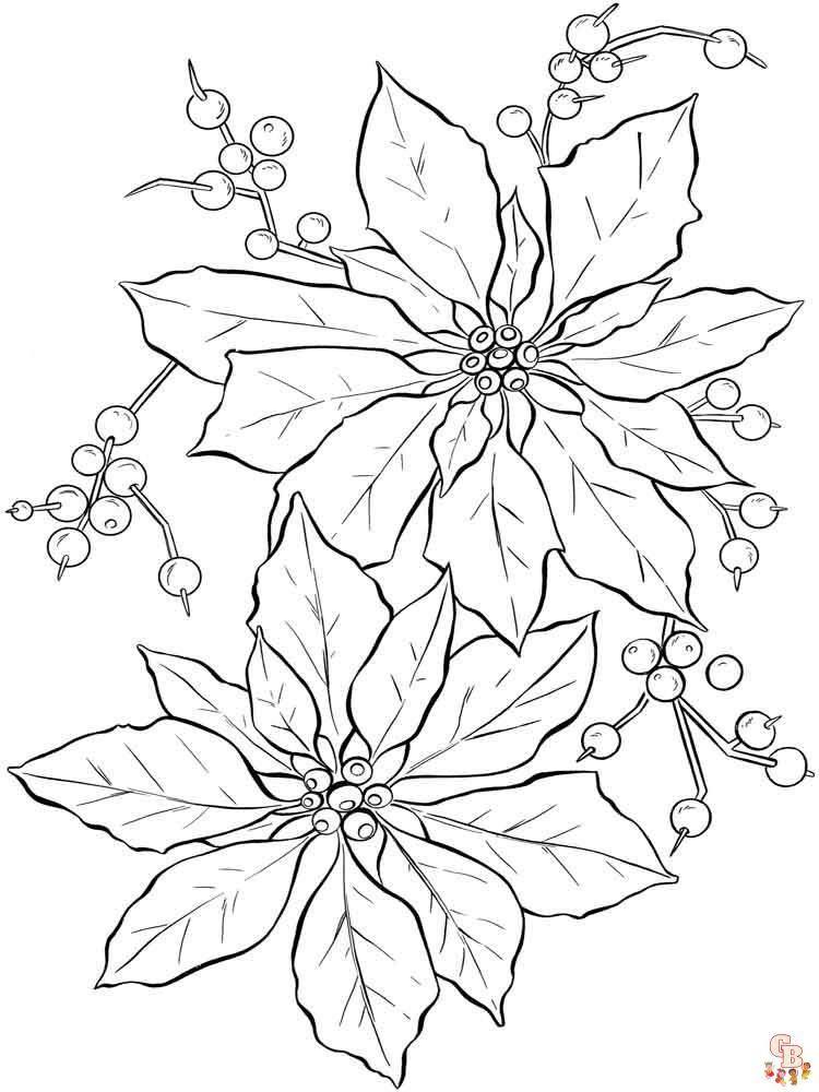 Poinsettia Coloring Pages 3