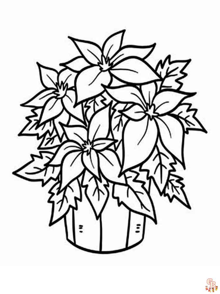 Poinsettia Coloring Pages 4