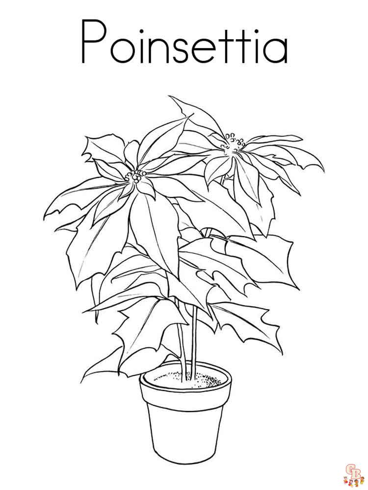 Poinsettia Coloring Pages 5