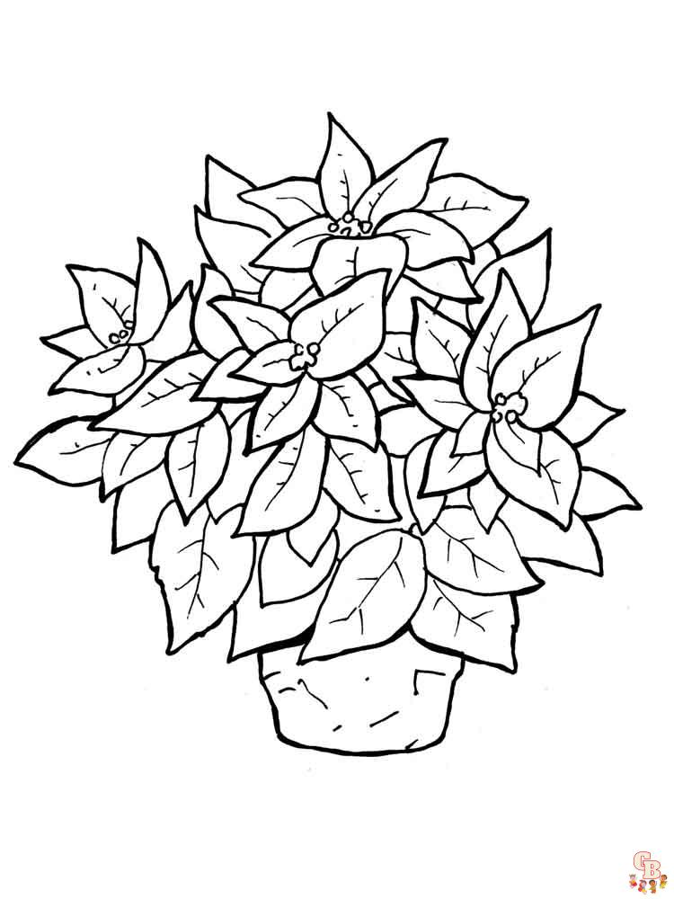 Poinsettia Coloring Pages 7