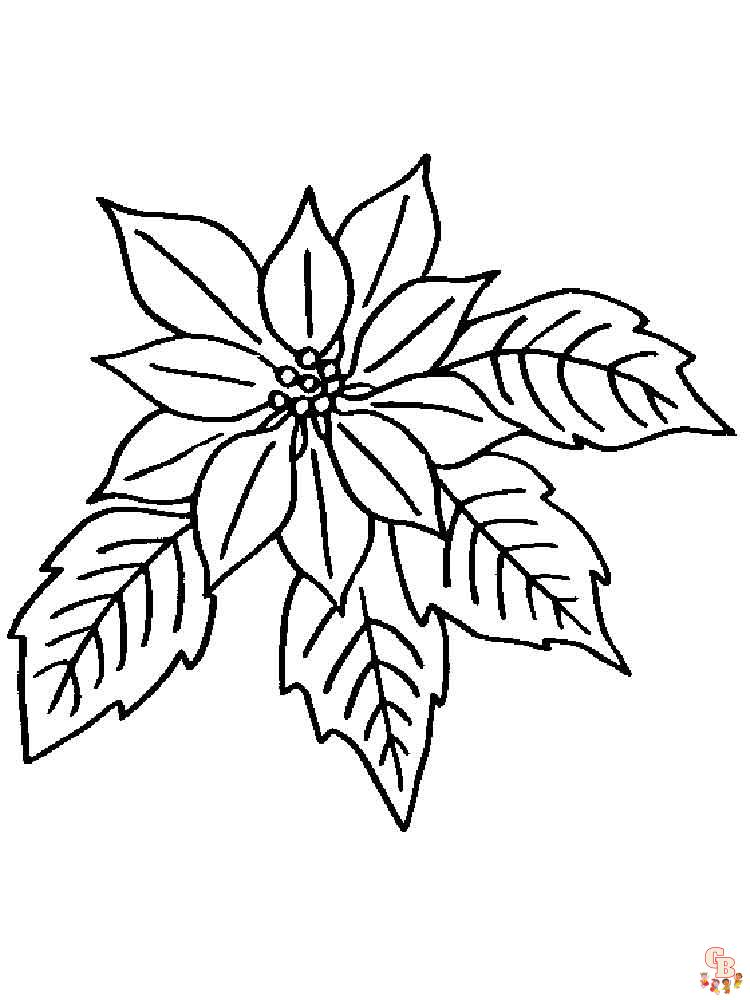 Poinsettia Coloring Pages 8