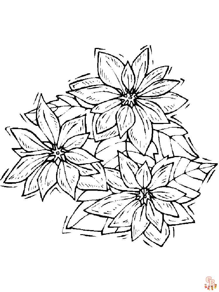 Poinsettia Coloring Pages 9