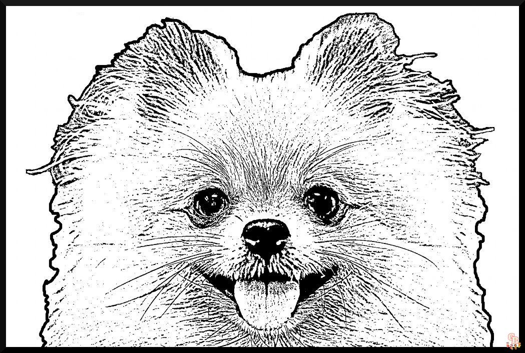 Fun and Easy Pomeranian and Chihuahua Coloring Pages for Kids