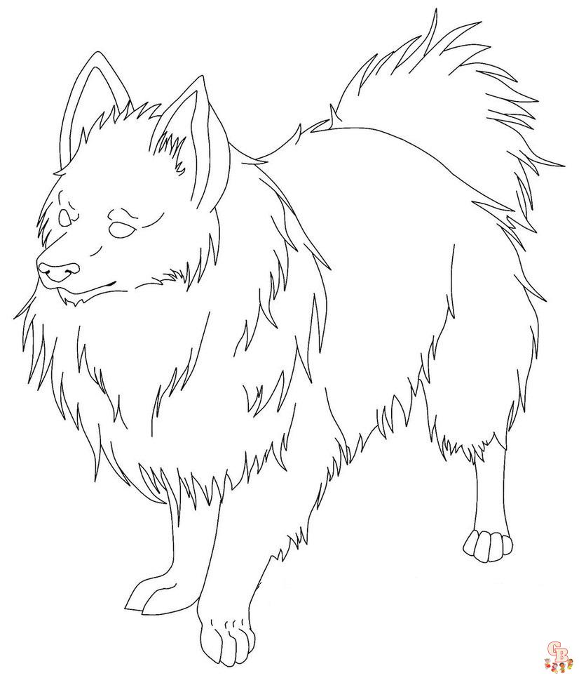 Pomeranian and Chihuahua Coloring Pages 8