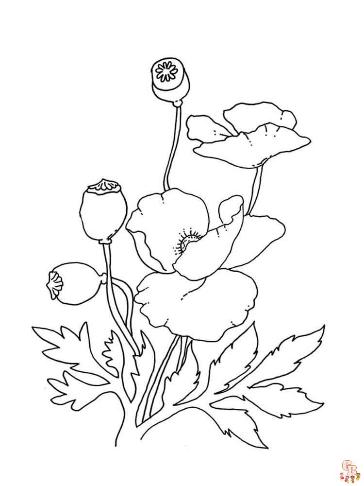 Poppies Coloring Pages 10