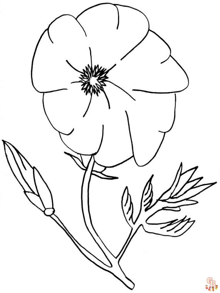 Poppies Coloring Pages 12