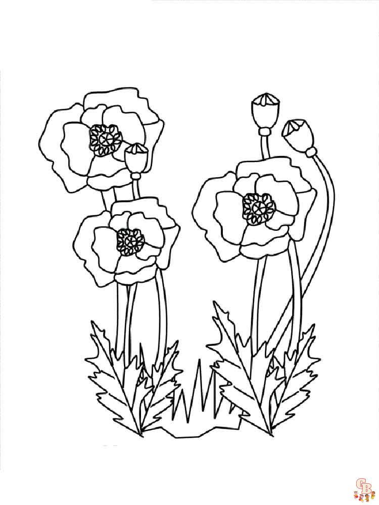 Poppies Coloring Pages 15