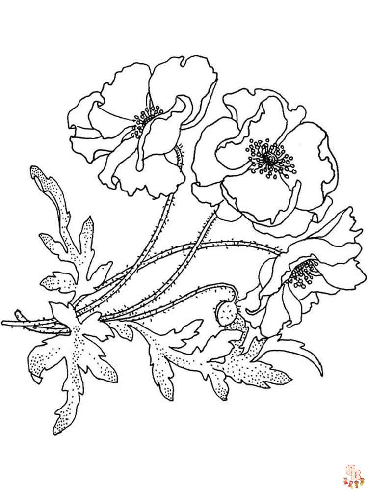 Poppies Coloring Pages 17