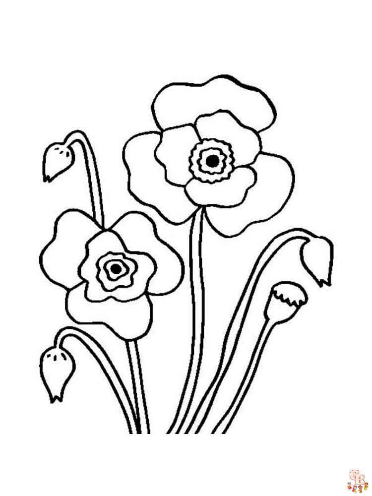 Poppies Coloring Pages 6
