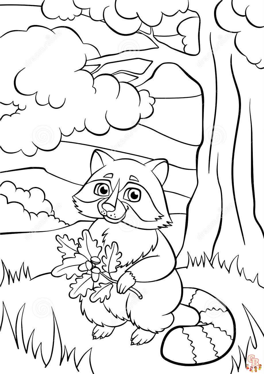 Raccoon Coloring Pages 2