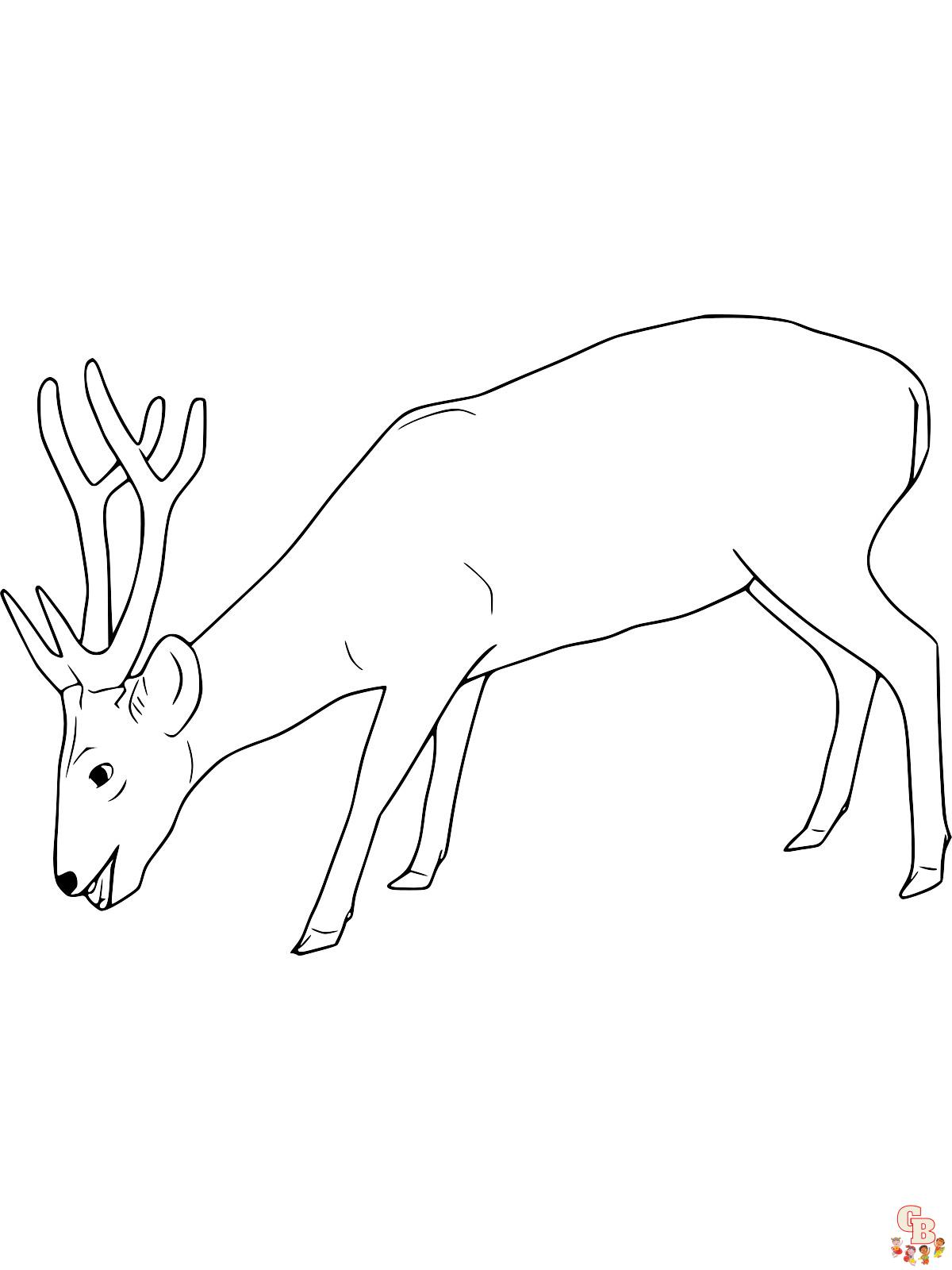 Red Deer Coloring Pages