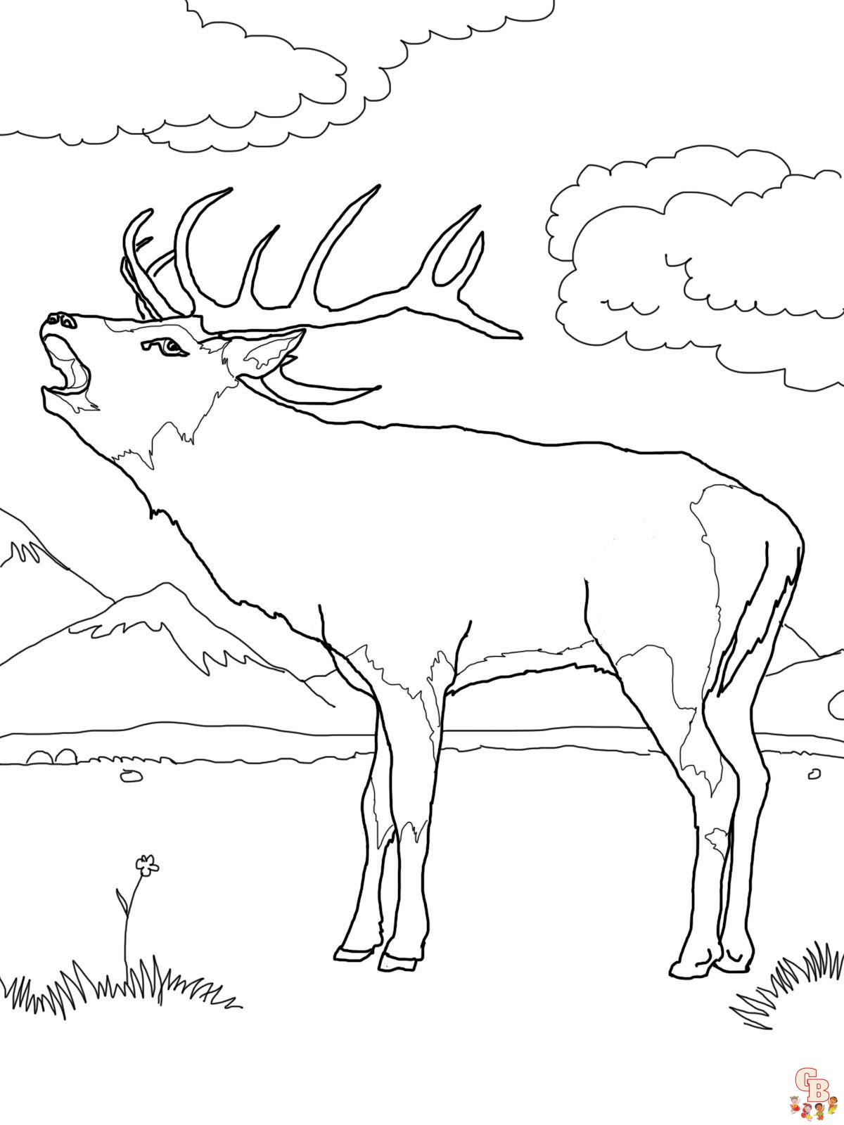 Red Deer Coloring Pages